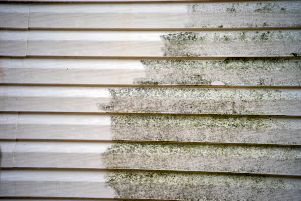 How To Choose The Right Materials for Your Siding Installation in 'Leola, PA